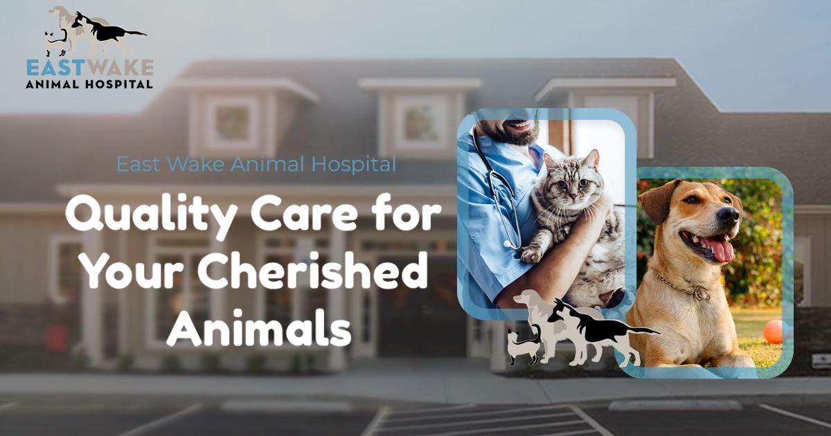 Veterinarian in Zebulon | East Wake Animal Hospital