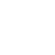 dog bone